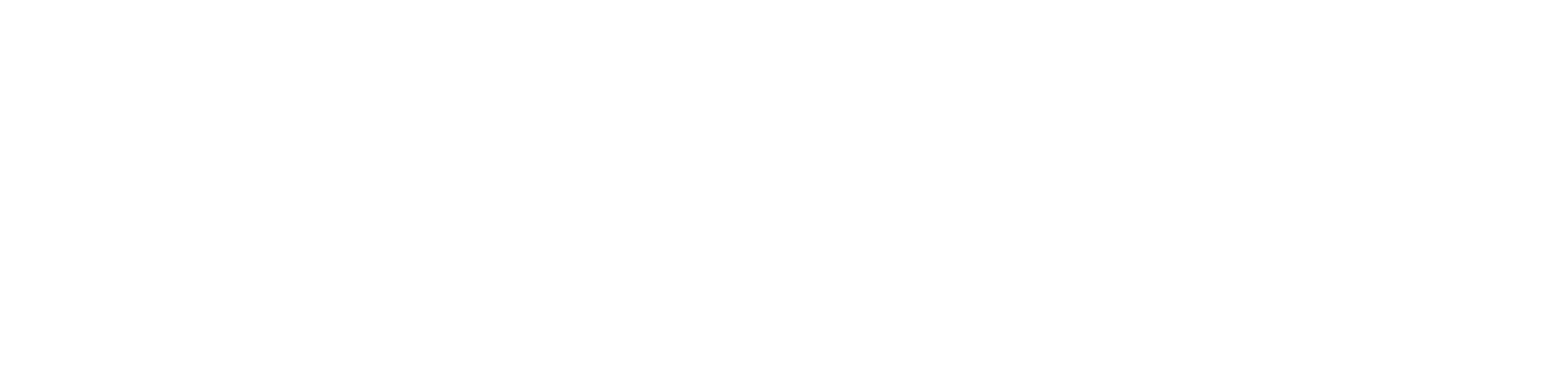 DD-Logo-Horizontal-White-Transparent-BG (1)